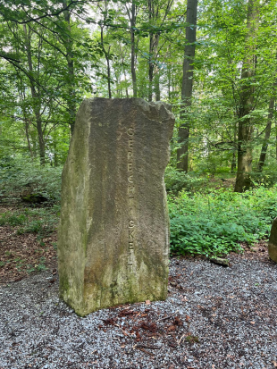 Wanderung im Ländle,
23. Juni 2024